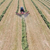 Enorossi 16-Wheel Maximus V-rake, 27'-30' raking, wheels forward, 60" wheels, gauge wheels, for 14'-18'