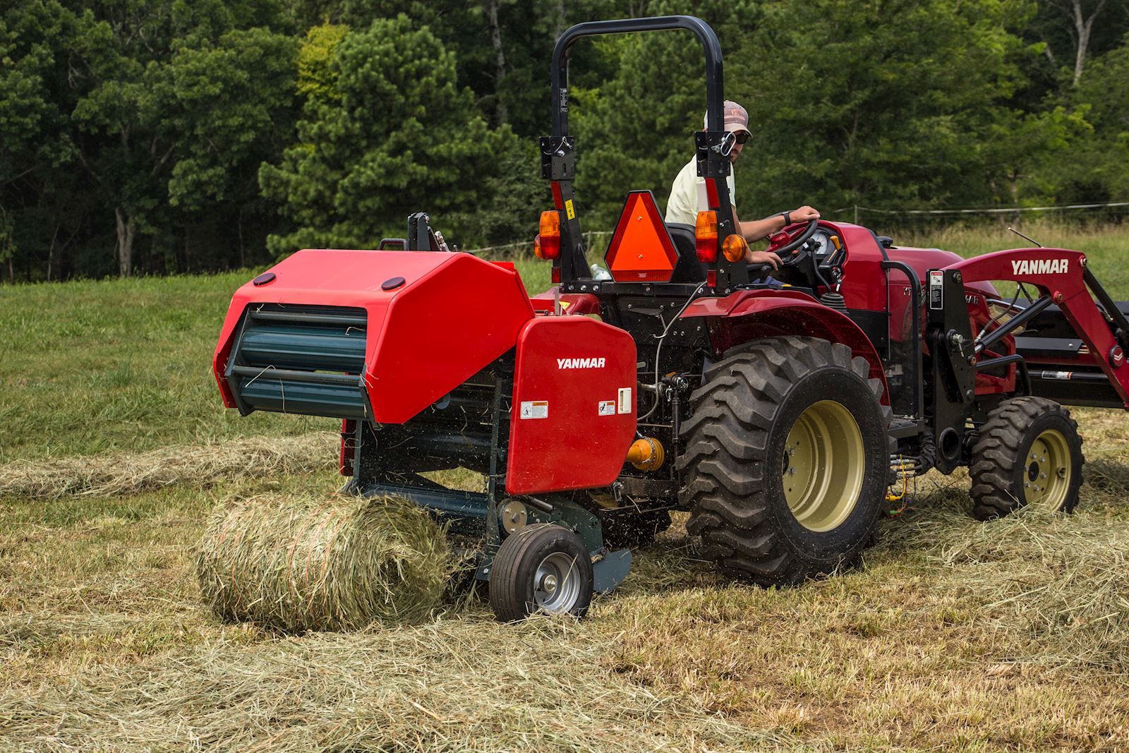 Hay & Forage